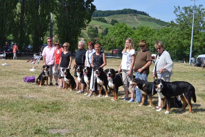 des chevaliers du zodiaque - Exposition Régionale d'élevage AFBS en Alsace