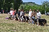  - Exposition Régionale d'élevage AFBS en Alsace